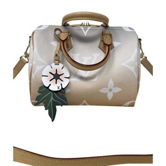 Louis Vuitton Speedy 25 Bandouliere Summer By The Pool Mist Monogram Giant - Picture 1 of 12